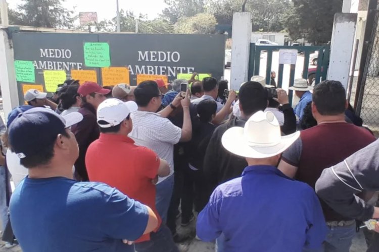 Ejidatarios silvicultores denuncian negligencia de la Semarnat ante pagos y trámites forestales.