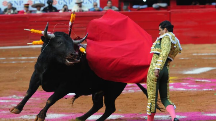 Diputados de la CDMX aprueban en lo general corridas de toros sin violencia