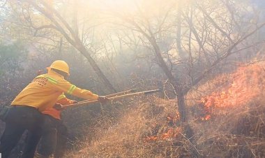 Incendio forestal en Oaxaca dejan dos muertos; hay ocho siniestros activos en ese estado