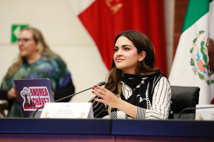 Denuncian a senadora Andrea Chávez por presuntos actos de corrupción