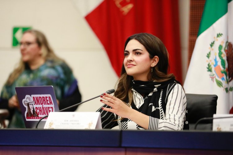 Denuncian a senadora Andrea Chávez por presuntos actos de corrupción