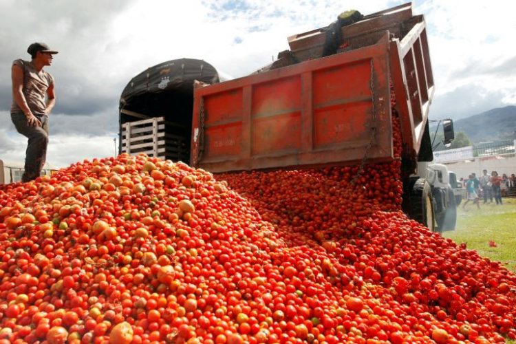 México enfrenta nuevo arancel de más de 20 por ciento a exportaciones de jitomate