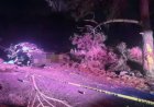 Accidente automovilístico en San José del Rincón deja una menor fallecida
