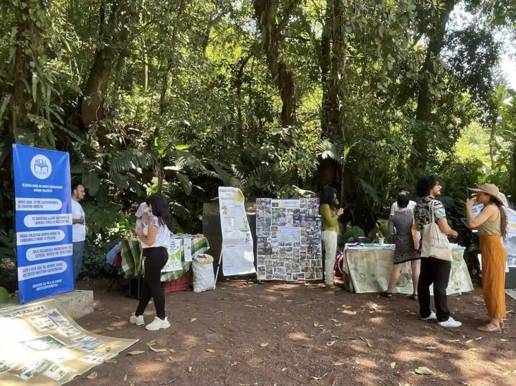 Ambientalistas acusan omisión por falta de resolución a denuncias contra autoridades municipales