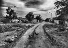 Fotoreportaje: 3 mil sinaloenses huyen de sus hogares