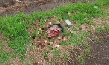Dejan dos cabezas humanas en baldíos de la comunidad de Huexoculco en Chalco