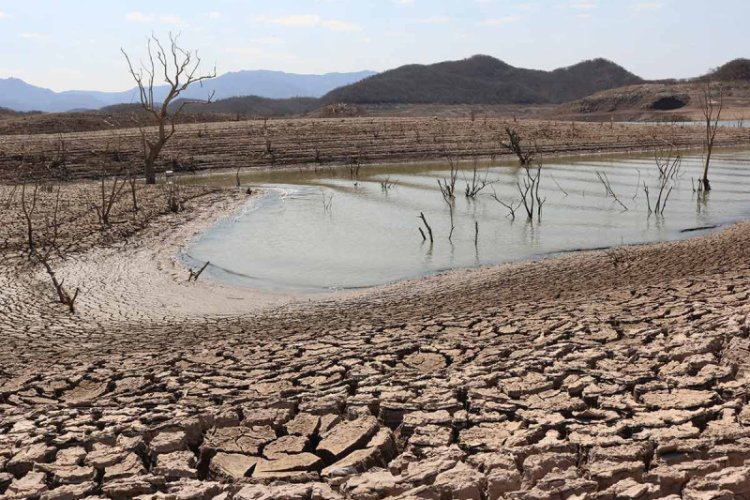 Antorchistas piden a Sheinbaum declarar a Sinaloa zona de desastre por sequía