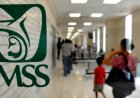 IMSS enfrenta carpetas de investigación y procesos penales