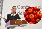 Prometen “apoyo” a exportadores de jitomate ante nueva tarifa de EEUU