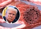 EEUU confirma arancel de 50 por ciento a las importaciones de cobre y sus derivados