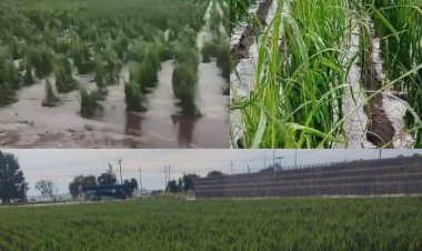 Intensas lluvias impactan a zonas agrícolas e invernaderos del Estado de México