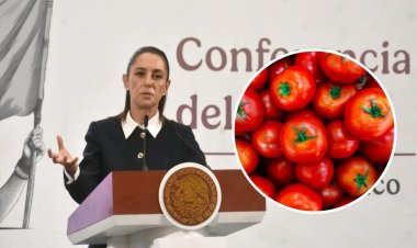 Prometen “apoyo” a exportadores de jitomate ante nueva tarifa de EEUU