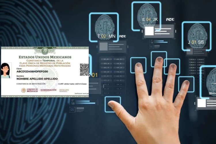 CURP biométrica no desplazará a credencial del INE: Guadalupe Taddei