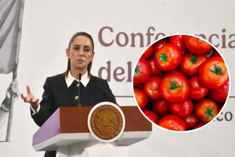 Prometen “apoyo” a exportadores de jitomate ante nueva tarifa de EEUU