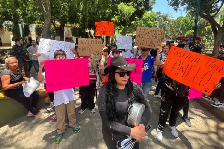 Marchan en Texcoco para pedir justicia por perritos asesinados; fiscalía liberó a los presuntos responsables