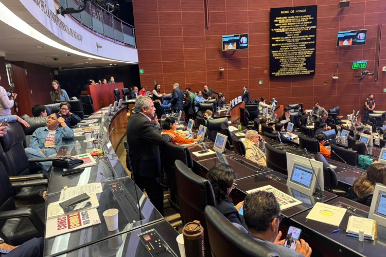 Perfilan sustituto de Adán Augusto en el Senado de la República