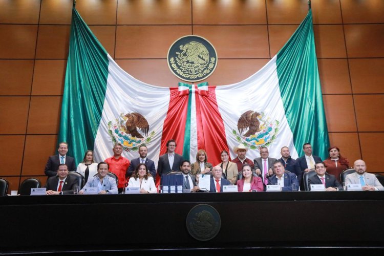 Detectan daños al erario público en último año de AMLO