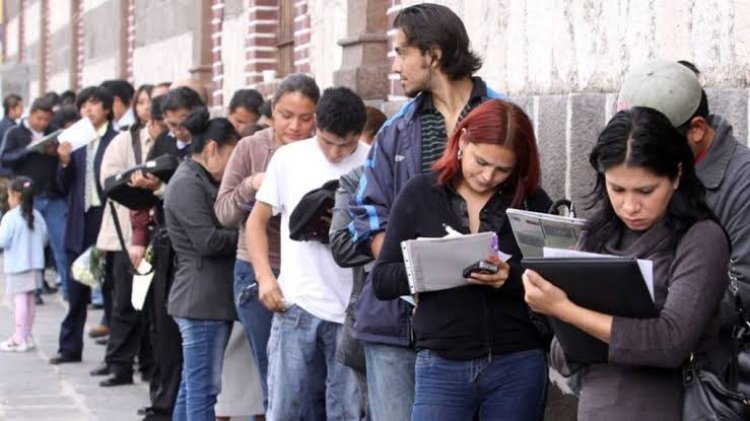 Se perdieron en México más de 46 mil empleos formales en junio