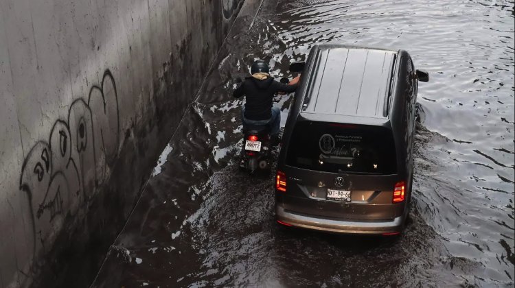Intensas lluvias dejan más de 20 árboles caídos y varios encharcamientos en la CDMX