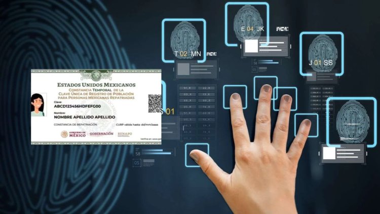 CURP biométrica no desplazará a credencial del INE: Guadalupe Taddei