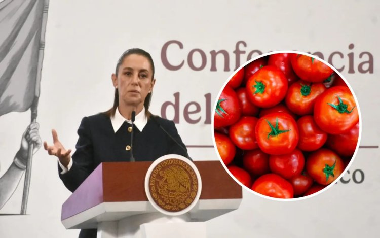 Prometen “apoyo” a exportadores de jitomate ante nueva tarifa de EEUU