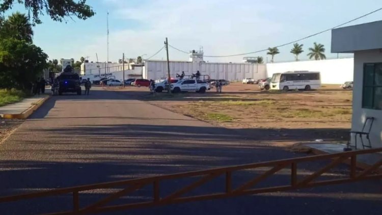 Riña en penal de Sinaloa deja tres reos sin vida; habían sido detenidos durante decomiso “histórico” de fentanilo