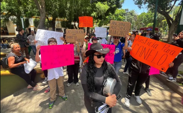 Marchan en Texcoco para pedir justicia por perritos asesinados; fiscalía liberó a los presuntos responsables