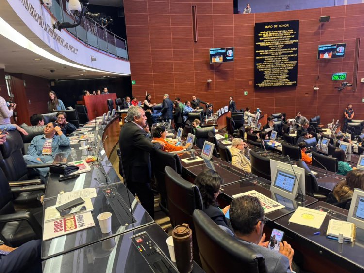 Perfilan sustituto de Adán Augusto en el Senado de la República