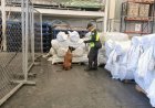 Aseguran 75 rollos con fentanilo en el Aeropuerto Felipe Ángeles