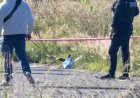 Localizan al menos seis cabezas humanas sobre carretera de Tlaxcala