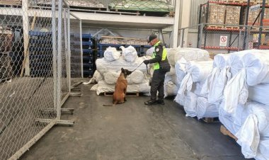 Aseguran 75 rollos con fentanilo en el Aeropuerto Felipe Ángeles
