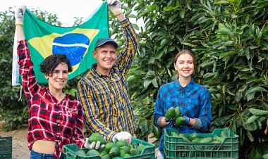 Brasil lanza un nuevo programa de microcrédito rural para apoyar a los agricultores familiares