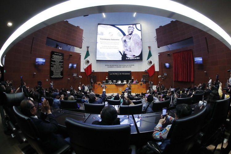 Cuestionan negativa del oficialismo en Senado para debatir casos de morenistas