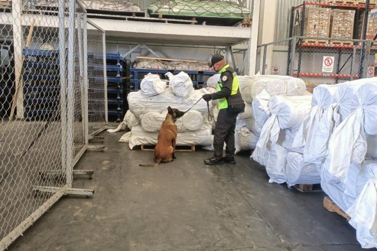 Aseguran 75 rollos con fentanilo en el Aeropuerto Felipe Ángeles
