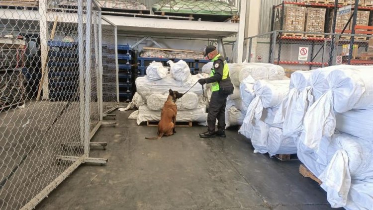 Aseguran 75 rollos con fentanilo en el Aeropuerto Felipe Ángeles