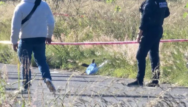 Localizan al menos seis cabezas humanas sobre carretera de Tlaxcala