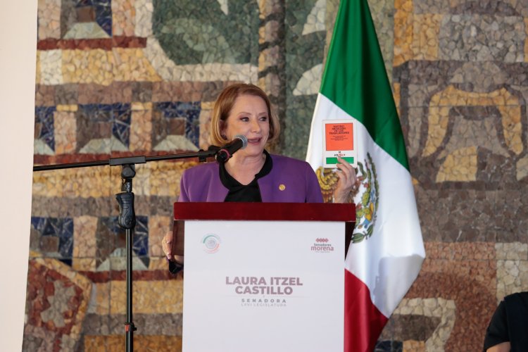 Laura Itzel Castillo relevará a Fernández Noroña en la presidencia del Senado