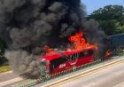 Choque entre autobús y tractocamión provoca incendio en la autopista Puebla-Veracruz