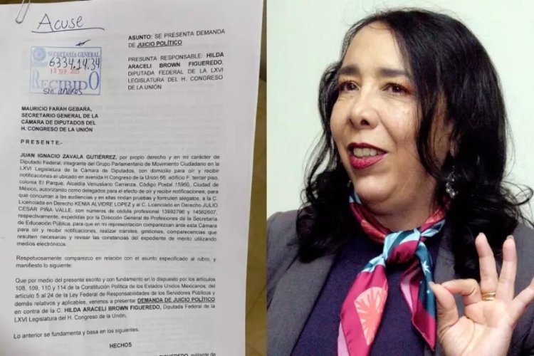 Presentan solicitud de juicio político contra diputada Hilda Araceli Brown