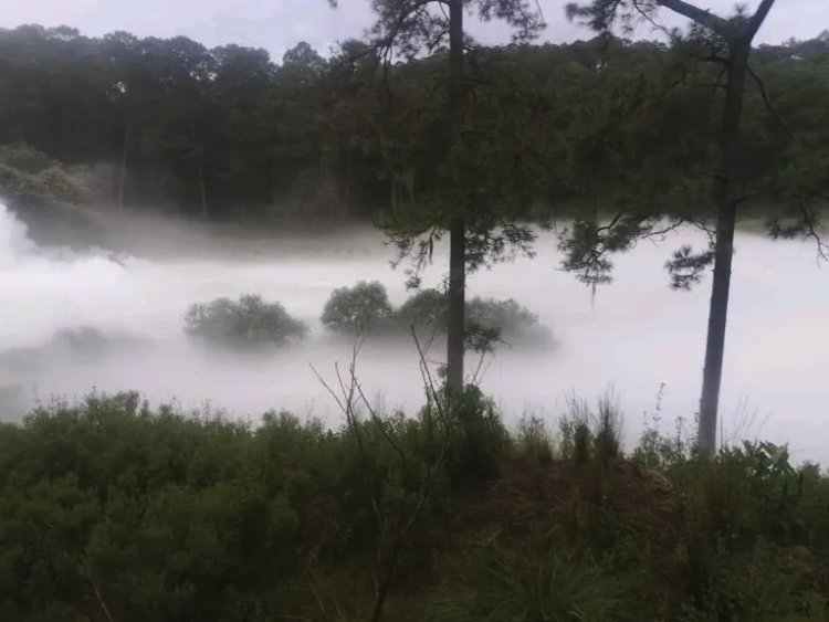 Huachigaseros provocan fuga en Nanacamilpa, Tlaxcala; evacuan a más de 3 mil personas