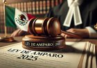 Diputados buscan eliminar retroactividad anticonstitucional en Ley de Amparo de Sheinbaum