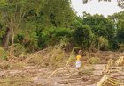Pérdida total de cultivos en Tumbadero, Puebla por desbordamiento del río Pantepec