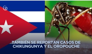 Cuba en alerta sobre aparición de formas graves de dengue
