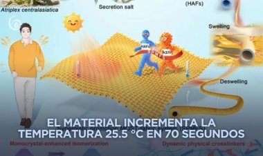 Científicos chinos desarrollan tejido solar térmico que se calienta en segundos