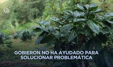 Piden apoyo en Ayohuixcuautla tras perder sus cultivos por el desastre en la Sierra Norte