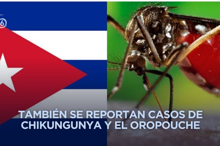 Cuba en alerta sobre aparición de formas graves de dengue