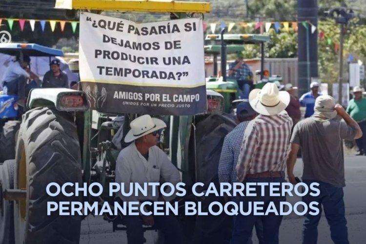 ¿Por qué se reanudaron bloqueos de agricultores?