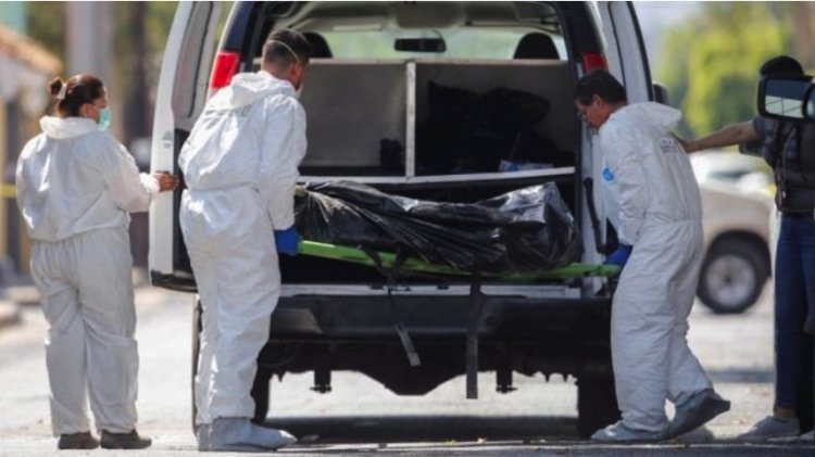 Primer año de Sheinbaum cierra con más de 20 mil homicidios