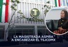 La justicia no puede esperar: Magistrada Rosalba Guerrero