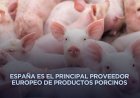 Alertan por peste porcina; México bloquea importación de carne de cerdo española